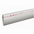 Charlotte Pipe And Foundry 114x2 SCH40 PVC Pipe PVC 07100  0200R